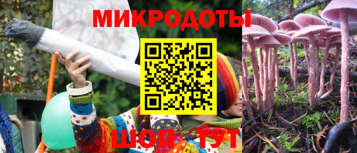 Галлюциногенные грибы прущие грибы Прохладный